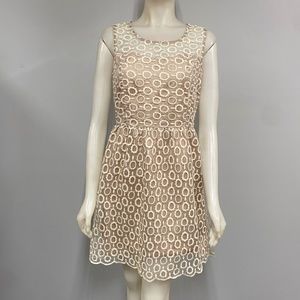 Love Culture Taupe Circles Overlay Peplum Dress Large